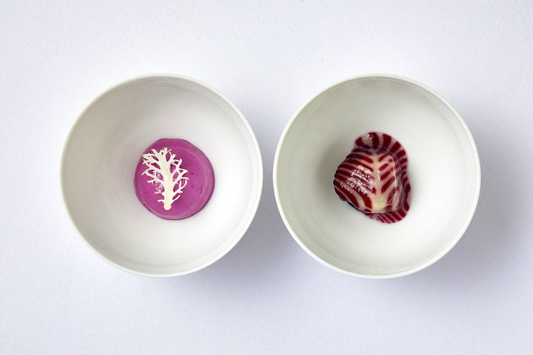 red cabbage 2  28112023075845 768x512