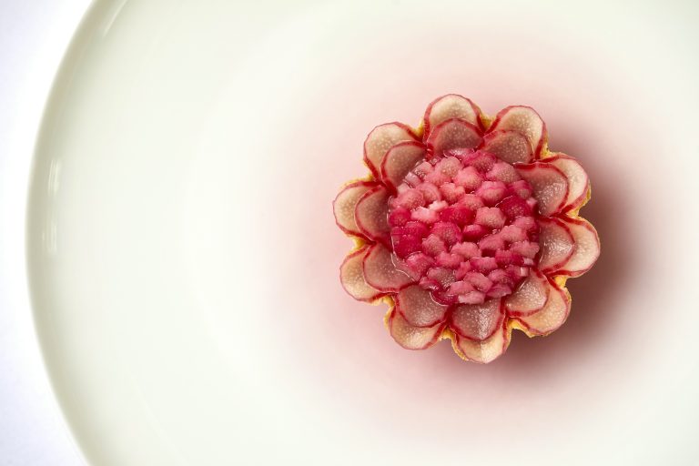 rhubarb tart with douglas fir custard 4  07032023040436 768x512