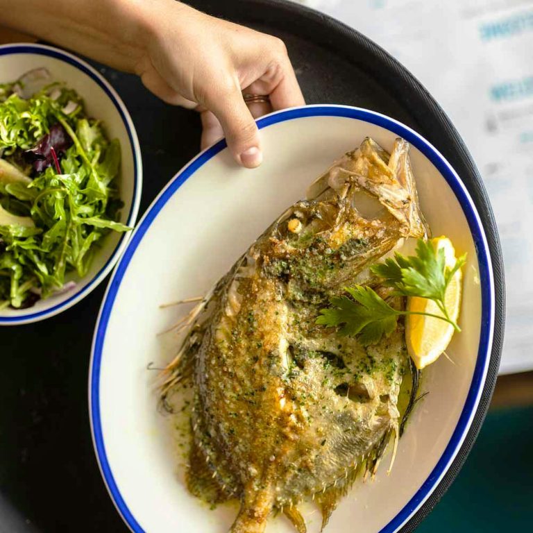 rockfish plymouth 3  16042024110814 768x768