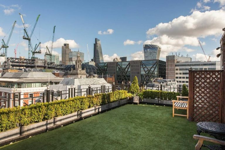roof garden 2 768x512