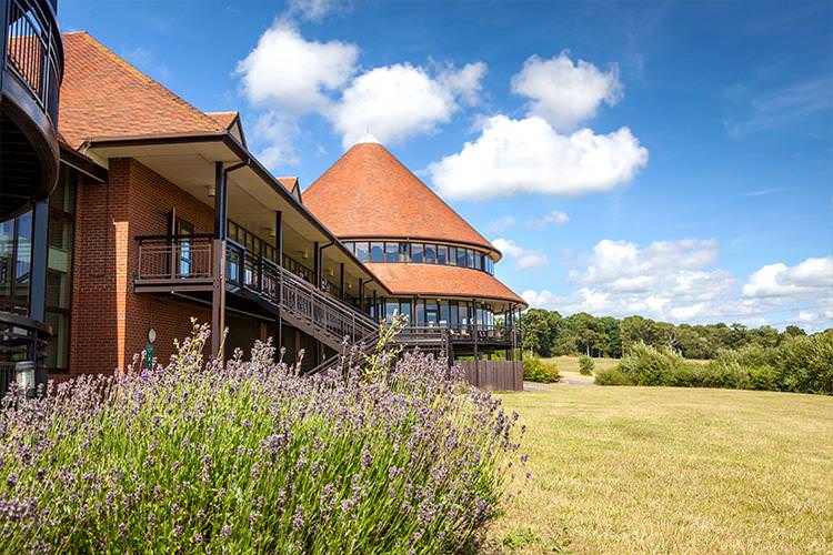 safybw0ukcfftqqjzgjl