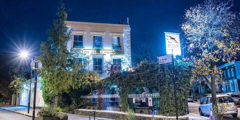 scolt head at night 10042024125758 768x384