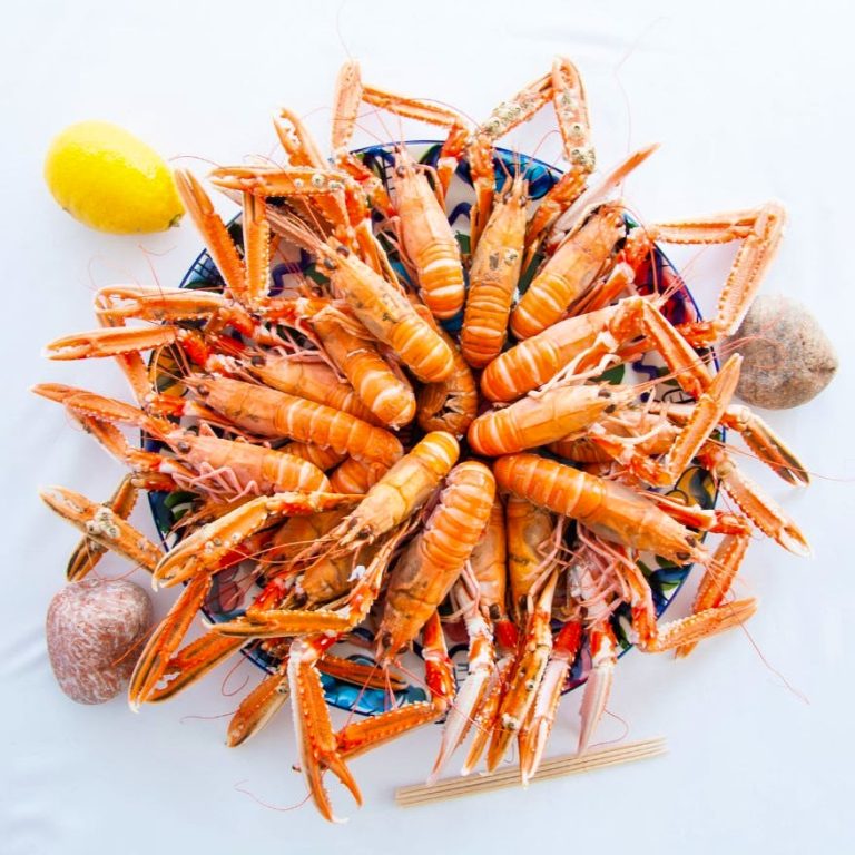 screenshot 2022 02 22 123948 22022022124017 768x768