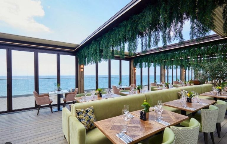 screenshot 2023 07 03 164737 03072023035434 768x489