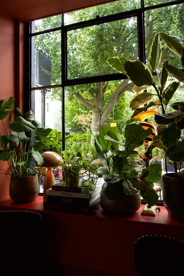 screenshot 2024 08 05 at 11 22 41 05082024025815 768x1151