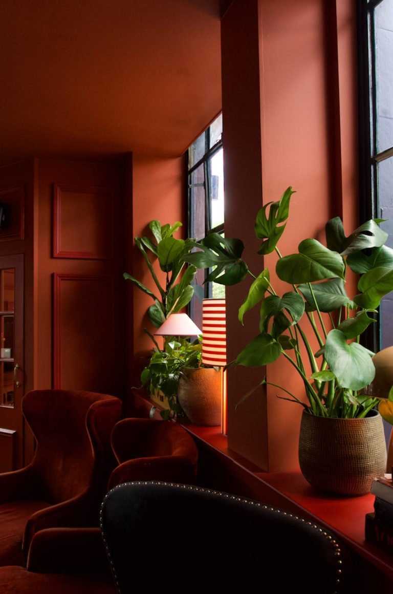 screenshot 2024 08 05 at 11 22 50 05082024025814 768x1160