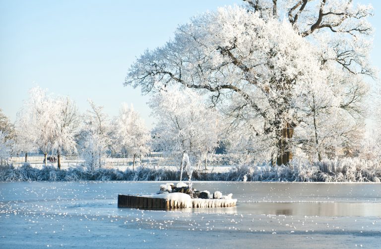 snowscene 768x501