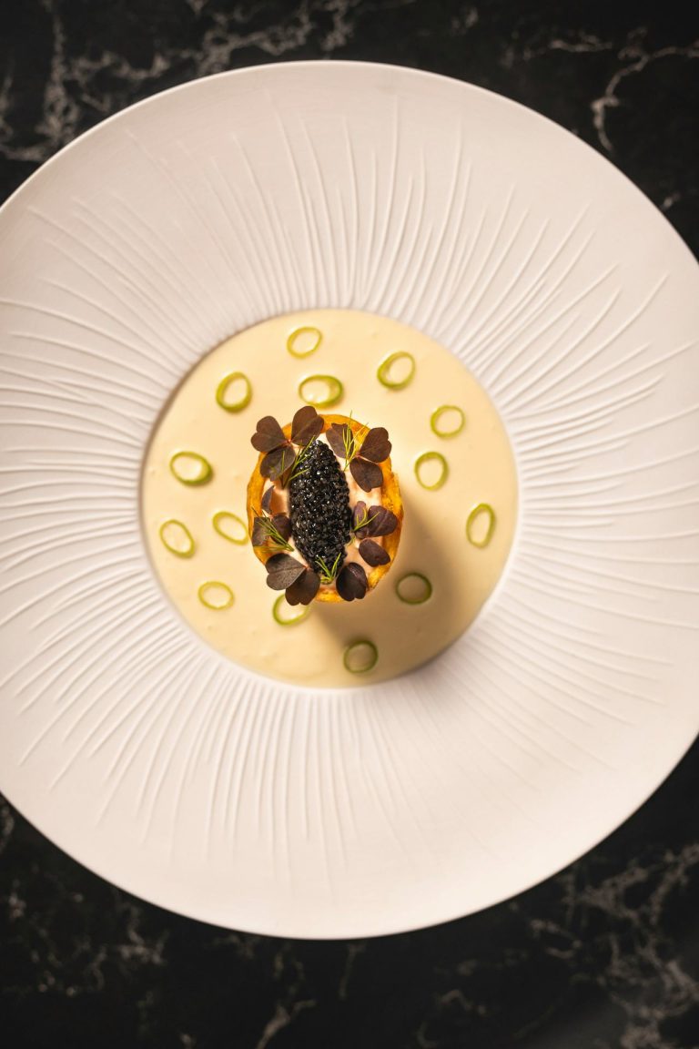 starters webres 12 4133 07102023010402 768x1152