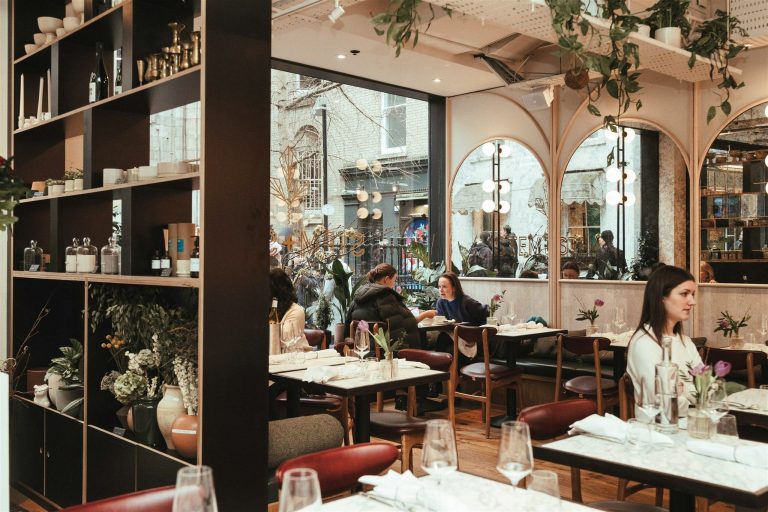 stem stem january 240032 14082024021945 768x512