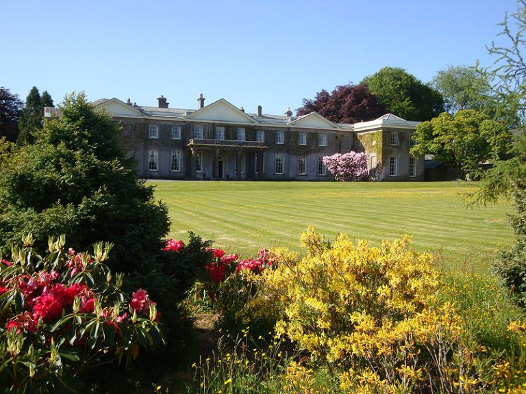 sufmo6jbdjwef1sjs4kx 1 768x576