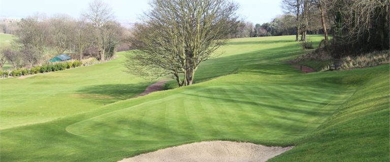 t8hwq3hccitpqa6bgyeq 768x320