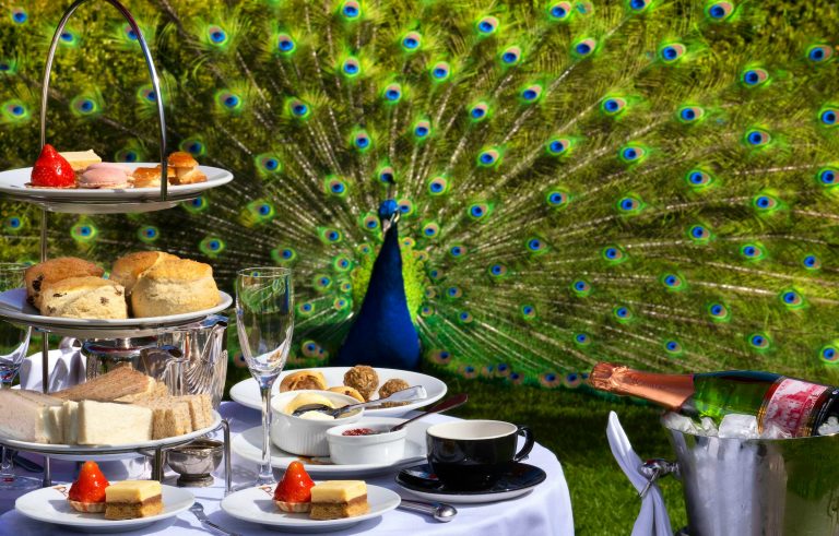 tea outside 1 05092024090305 768x491