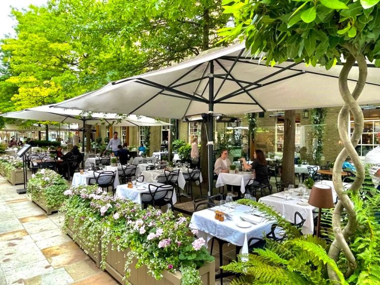 terrace 02112022110325 768x576