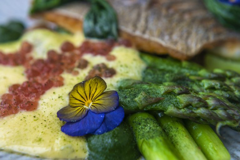 the folly by john cairns 17 5 23 151 24072023123207 768x511