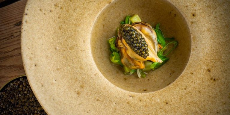 the forest side review 21112023024523 768x384