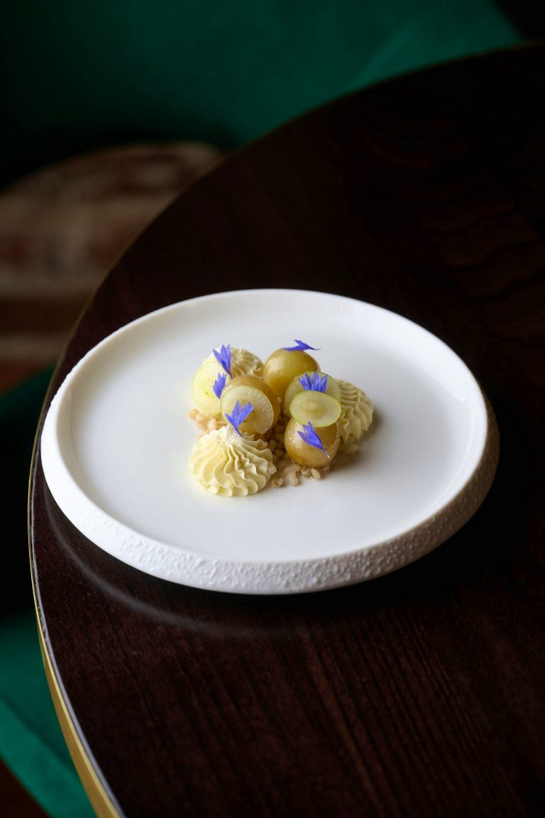 the greyhound march 20240444 12122024035935 768x1152