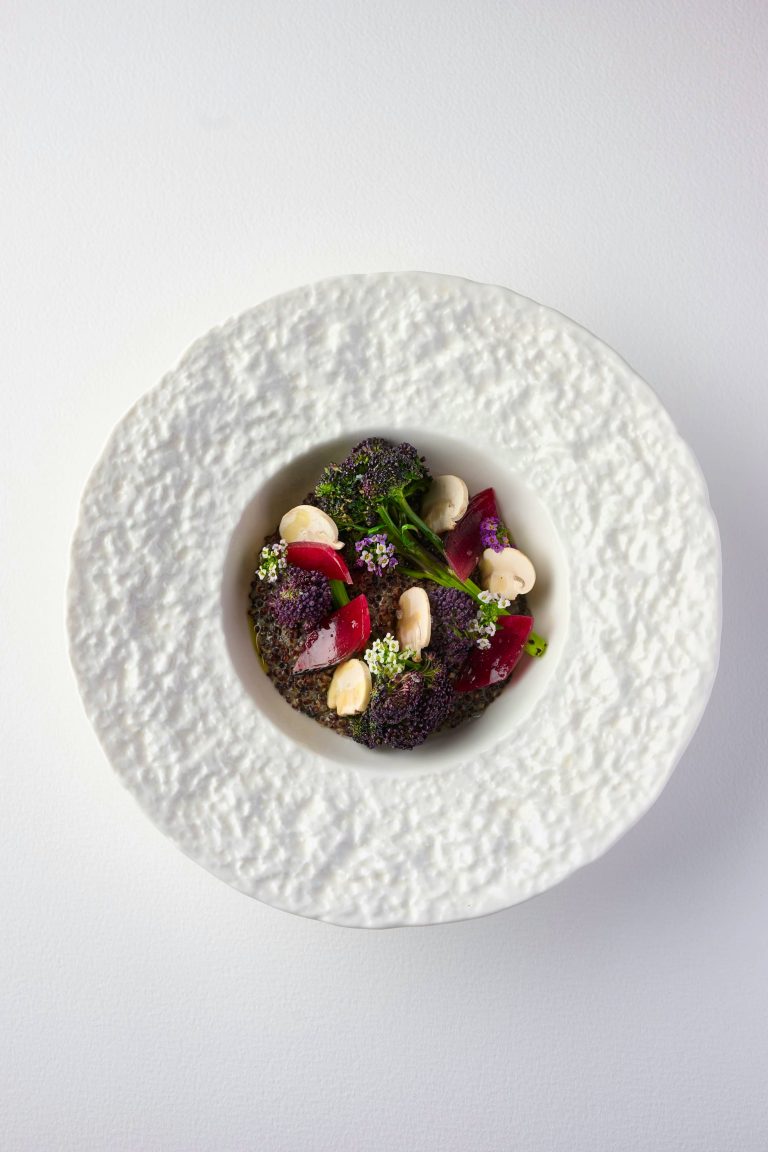 the greyhound march 20240588 12122024035935 768x1152