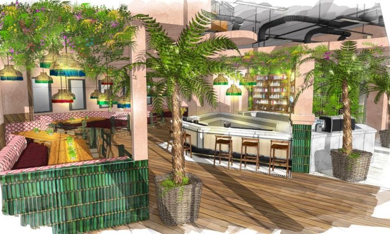 the palm house 2  15082022091419 768x461