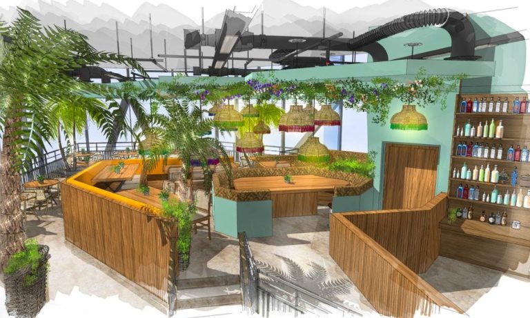 the palm house 15082022091417 768x461