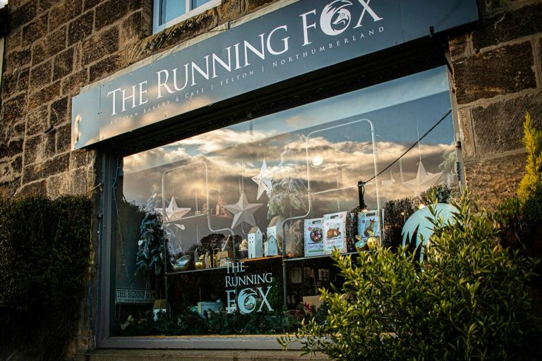 the running fox felton 02092024010105 768x512