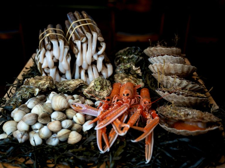 the silver cup 2  16042024041110 768x576