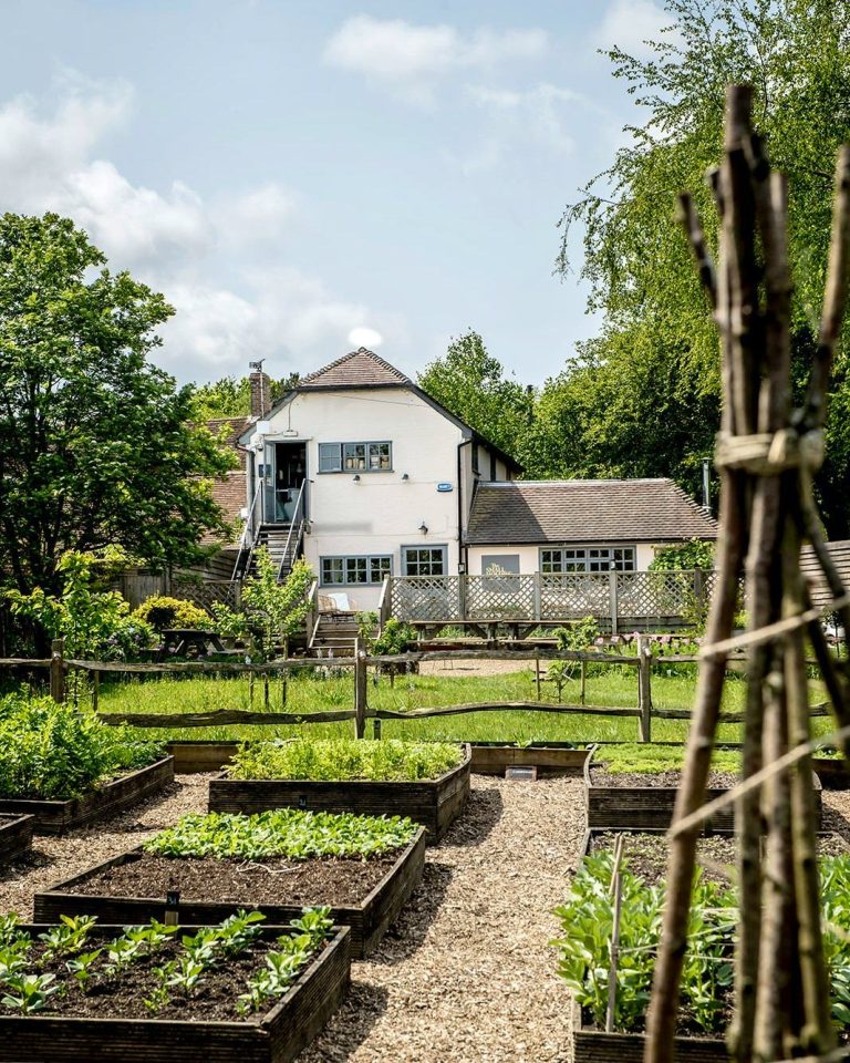 the small holding 29112023113745 768x960