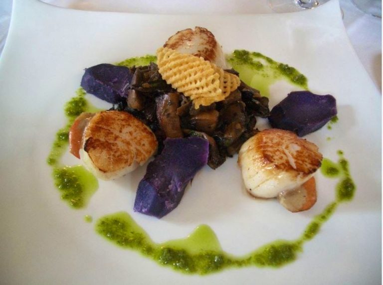 the sundial scallops 768x572