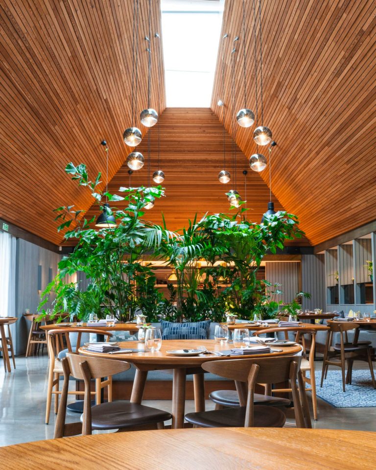 the woodspeen reviews 30072021084415 768x960