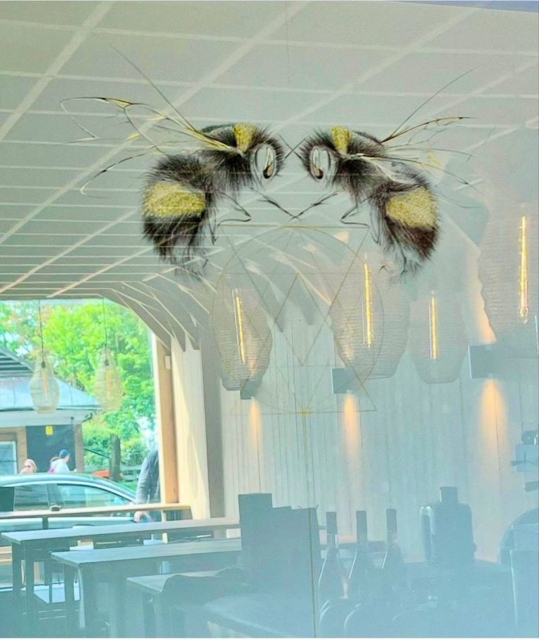 thumbnail img 1129 19112024115153 1 768x912