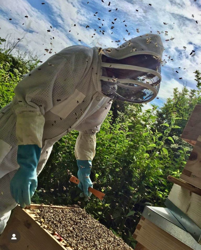 thumbnail img 1132 19112024115212 768x955