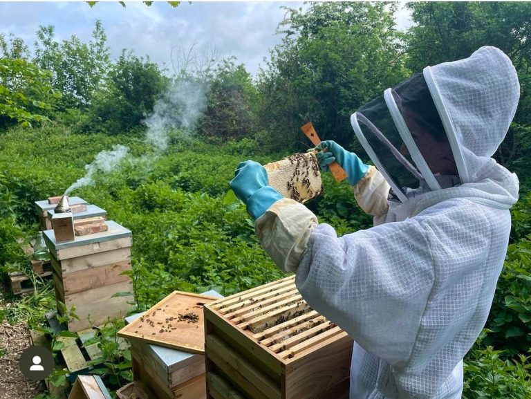 thumbnail img 1134 19112024115008 1 768x577