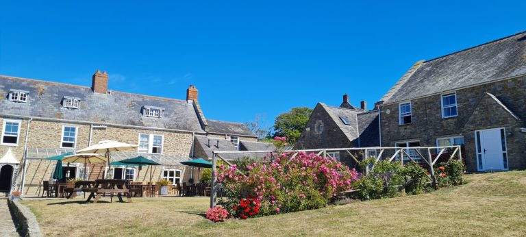 thumbnail 20220710 105729 1 768x346