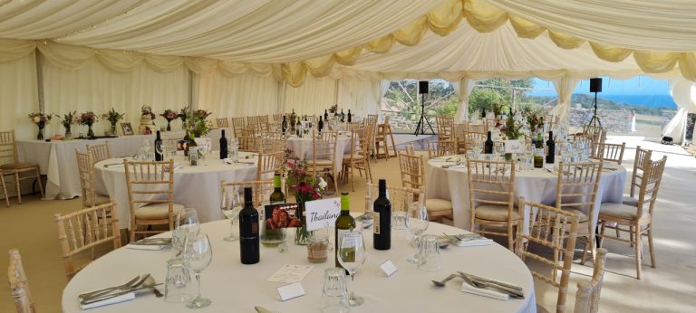 thumbnail 20220730 164635 768x346