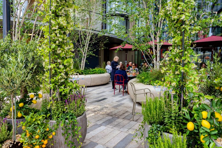 tozi justindesouza 178 19072024034245 768x512