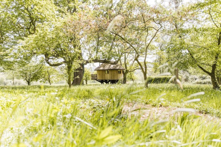 treehouse431 768x512