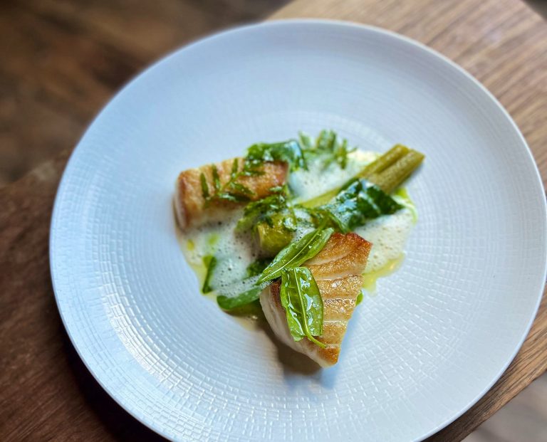 turbot 2 landscape 22052023014407 768x621