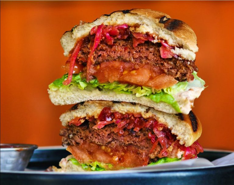 turtle bay blackburn review 05082021040101 768x608