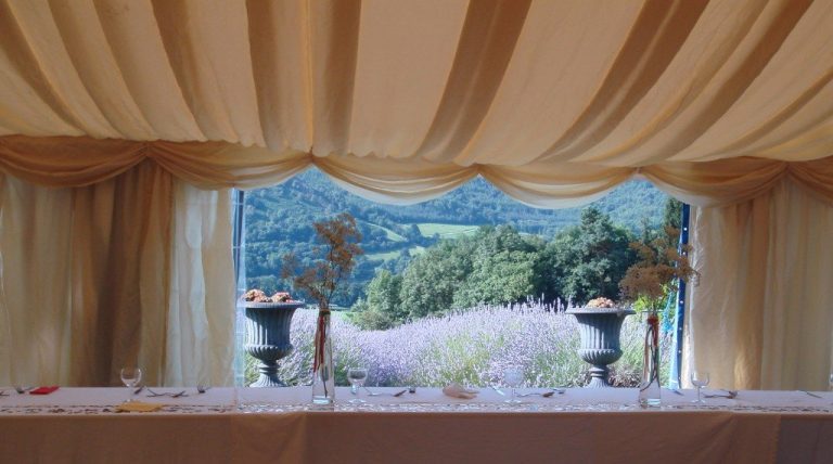 viewfrommarqueewedding 1024x571 kn0wly 768x428