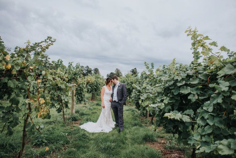 vineyardweddinga 768x513