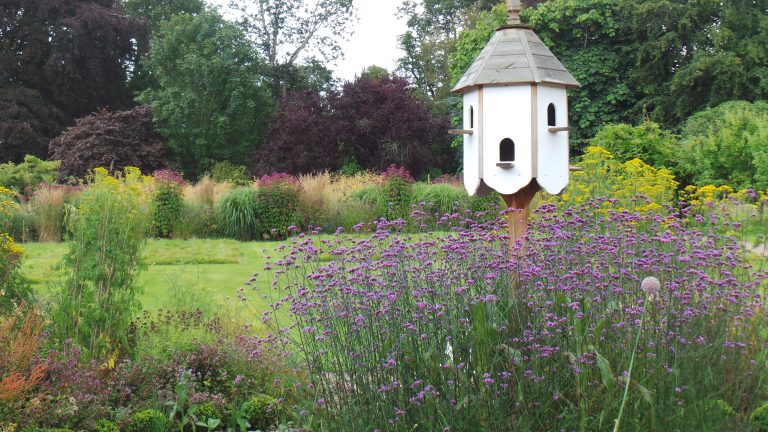 walledgarden 1 768x432