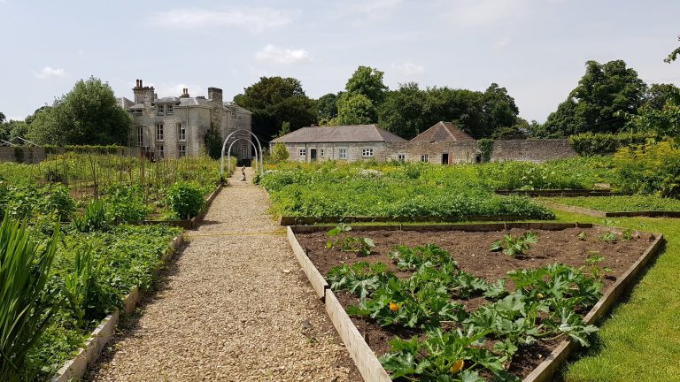 walledgarden 2 768x432