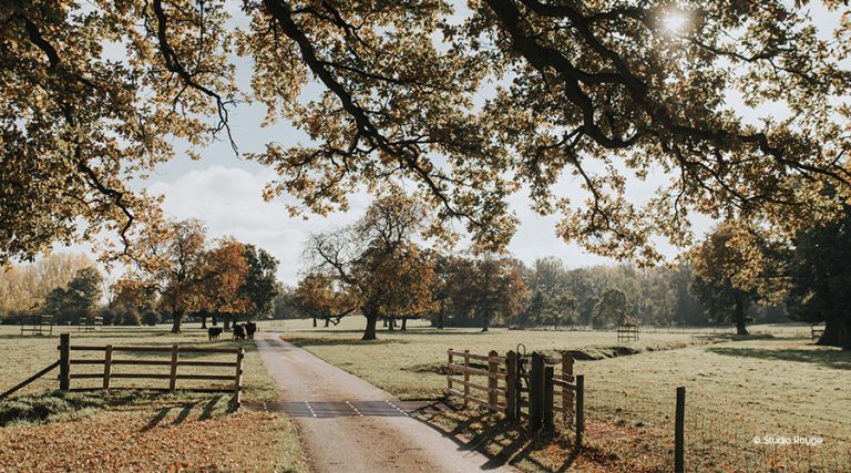 wasing park berkshire Bride Book 7 768x427