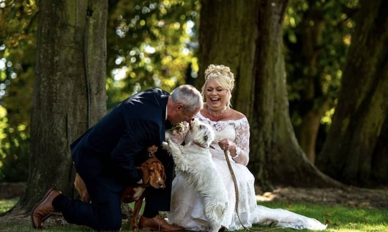 wedd7 768x460