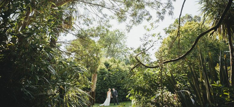 wedding reception g3x61q 768x352