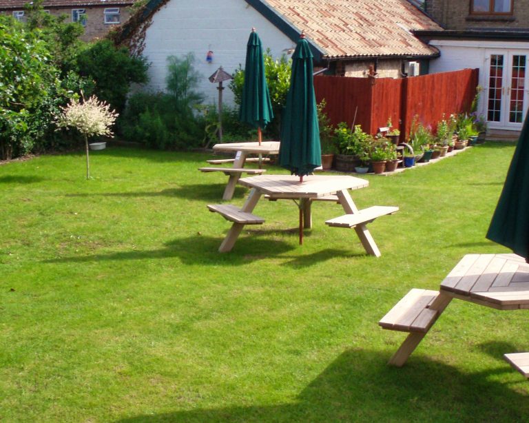 white pheasant 2008   pheasant garden2 768x614