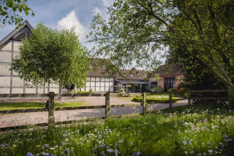 wildflowersmedium 1 2  12092024090159 768x511