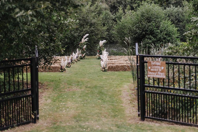 willandamy227 websize 768x512