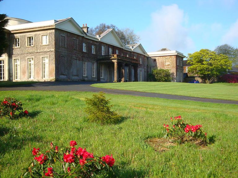 y3asoijbuwo49f9bo0ob 768x576