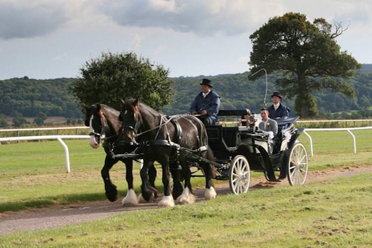 y7d89hdhpfcn6jrogzgg