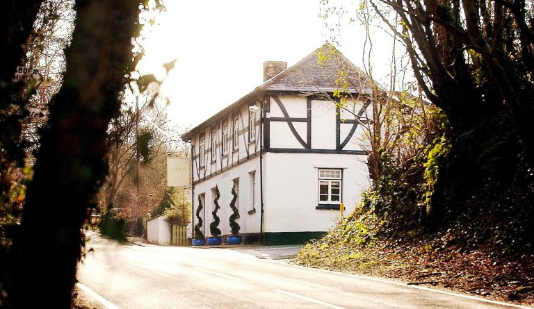 y polyn 2008   adrian photo shoot 004 768x445